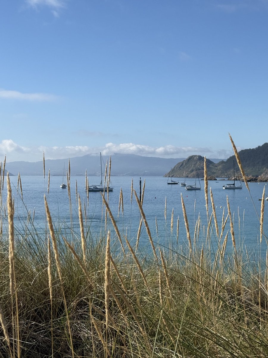 spellanais's tweet photo. they're saying it's the last beach day of the season - finding that's not true on either side of the atlantic https://t.co/2OeM1jxu2L