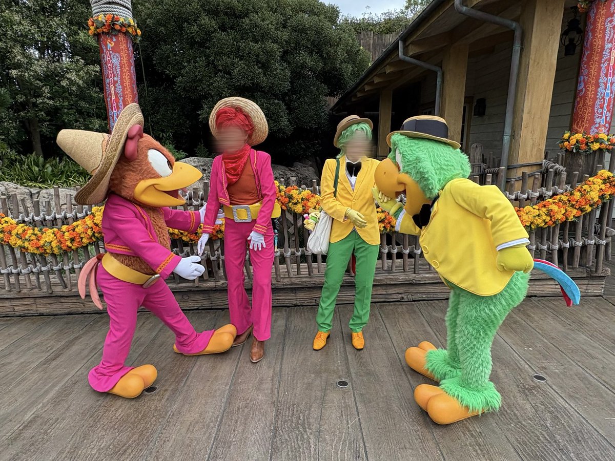 usginnk's tweet photo. 念願の仮装で🦜🐓に会うことが出来て嬉しかった！
2人もめちゃめちゃ喜んでくれて最高グリ！！
#Dハロ仮装2026 #Dハロ仮装 https://t.co/oQXkjWfDQB
