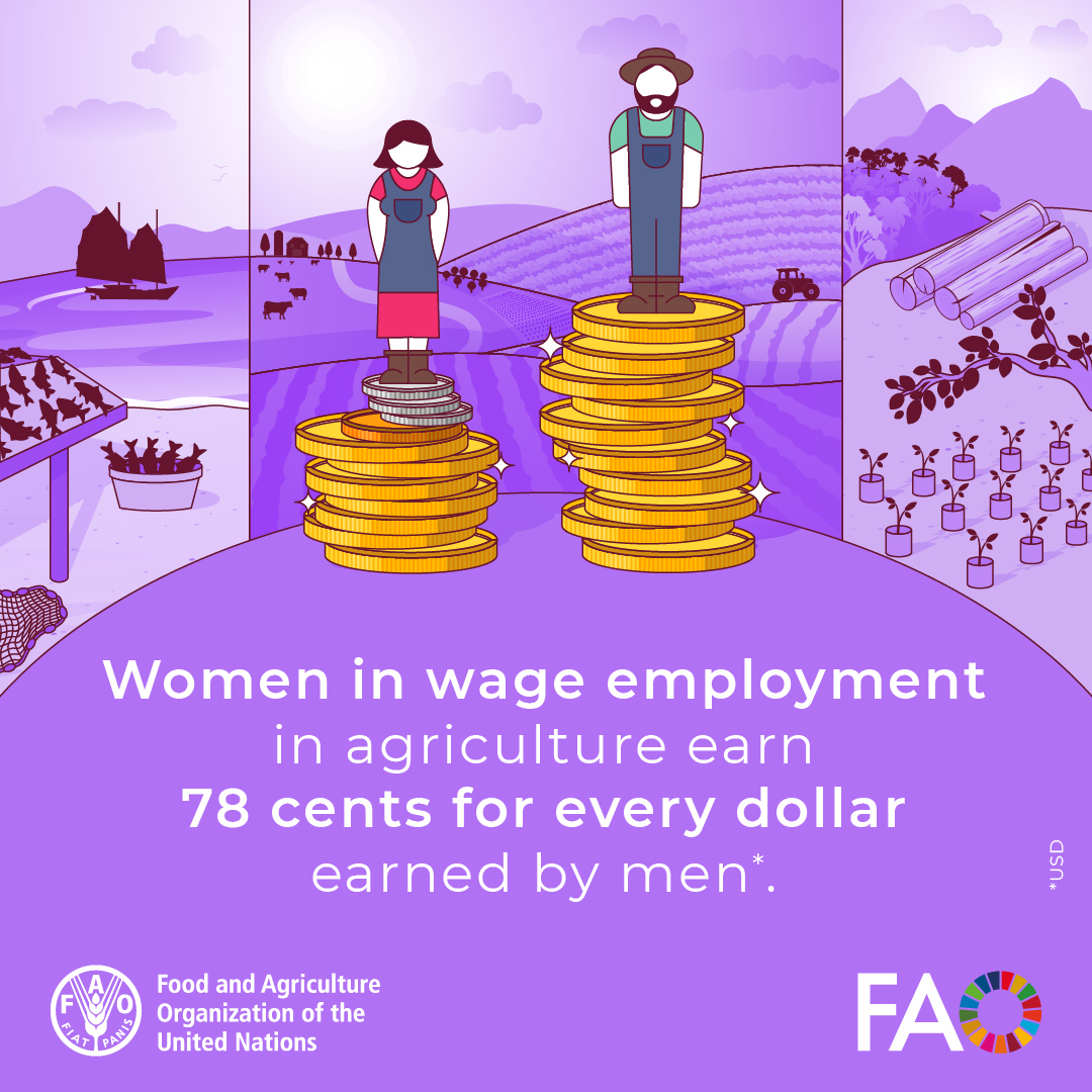 FAO's tweet photo. Closing the wage gap for women is key to building prosperous, sustainable and equitable agrifood systems 👩‍🌾💰👨‍🌾

#EqualPayDay #LetsGrowEquality #YearOfTheWomanFarmer #IYWF2026 https://t.co/fcJJr0K9aQ