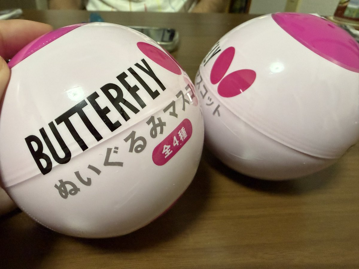 dondon___tt's tweet photo. おもしろいもの持って帰って来てたwwww https://t.co/XKjSkhCato