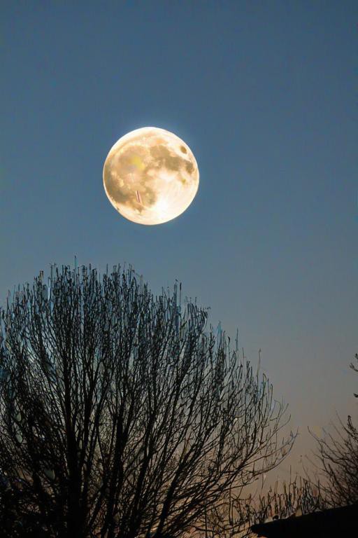 AleneStrolulc's tweet photo. Cada noche, compartimos la misma luna aunque estemos a miles de kilómetros https://t.co/B6Jfa3DM3T