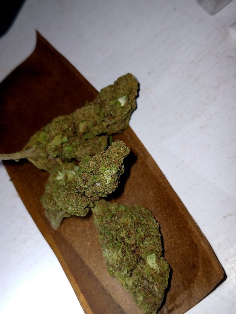 weed_Express13 tweet picture