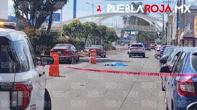 gomezcarlos79's tweet photo. 🚨 #Ancianito baja de #Ruta10 , cruza por delante y muere atropellado.
Aquí los detalles 👇🏻
https://t.co/J8f3cQouE0 https://t.co/jDXdpSVeq2