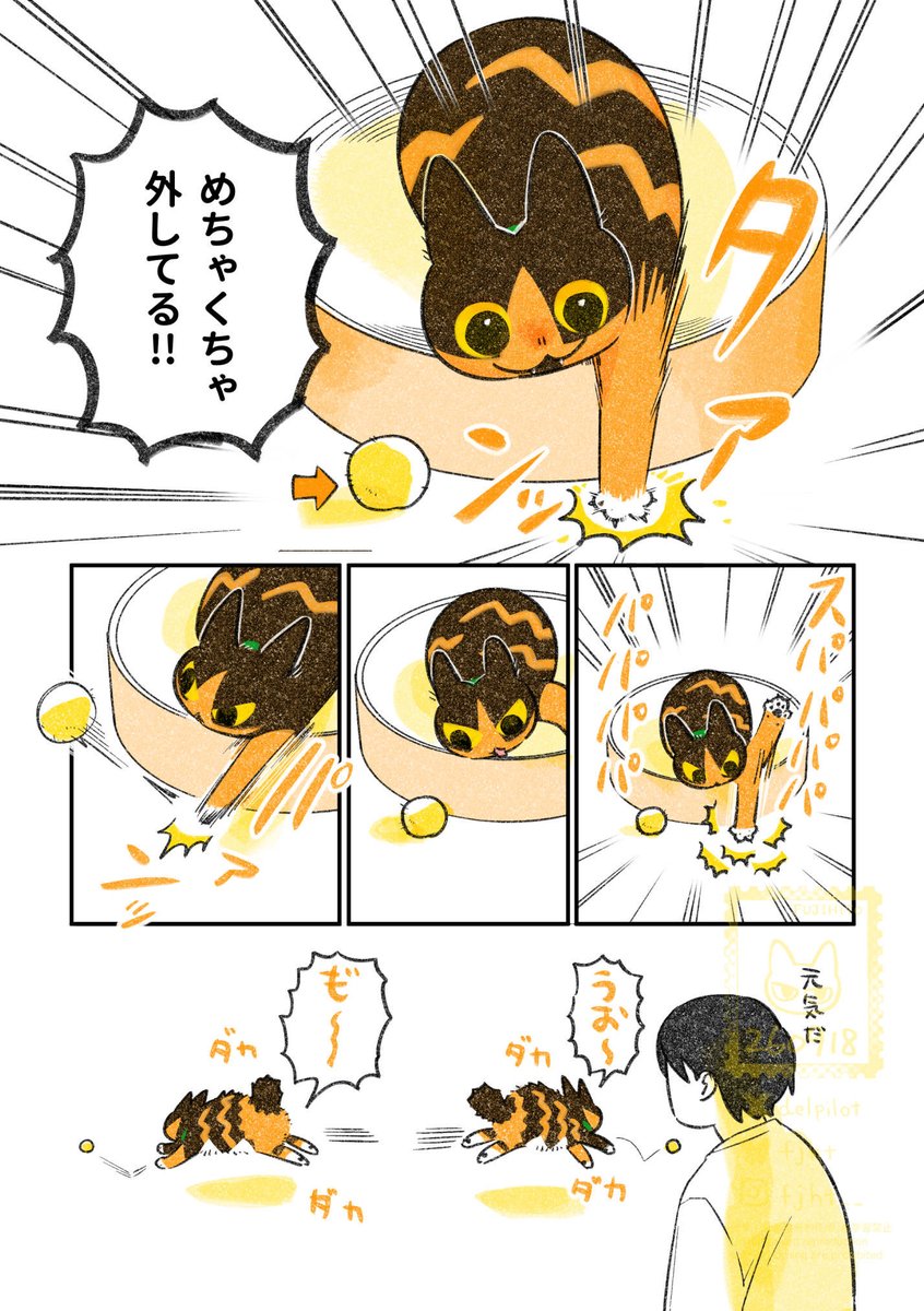delpilot's tweet photo. ボールで遊ぶ猫 https://t.co/nJMHibSv6B