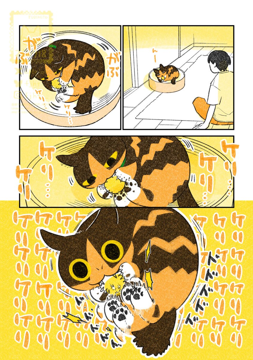 delpilot's tweet photo. ボールで遊ぶ猫 https://t.co/nJMHibSv6B