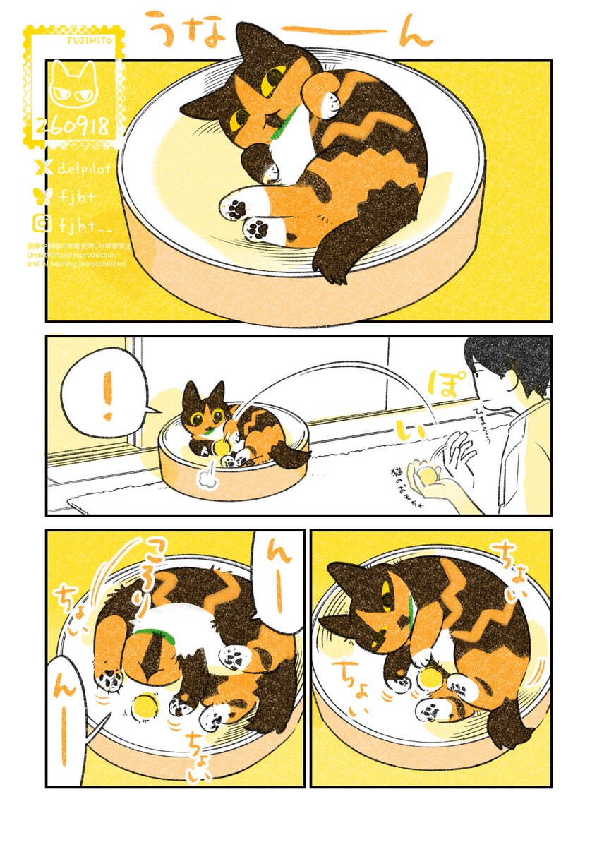delpilot's tweet photo. ボールで遊ぶ猫 https://t.co/nJMHibSv6B