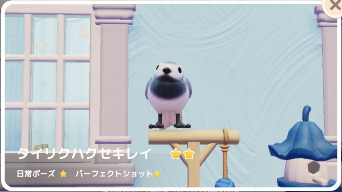 F_orita's tweet photo. コマドリ以外の鳥が来るの珍しいｗ
#ハートピアスローライフ https://t.co/3wdnl9E15i