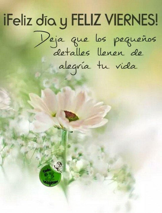 nuriRodrigo's tweet photo. "Ten menos curiosidad por la gente y más curiosidad por las ideas."

Marie Curie ✏️

#BuenosDías
#FelizViernes 

🌻🌸🌹🌺🪻🌼🌷🌿 https://t.co/qkdUGN8O3q
