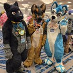 Photo by Adam Curly 🔜 MFF, Scotiacon & CFz (@OreoOtter)
