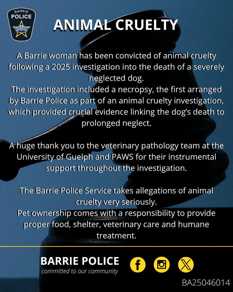BarriePolice's tweet photo. The Barrie Police Service is providing an update on an animal cruelty investigation that has resulted in a conviction and marked an important first for the Service.
Media Release: https://t.co/lQEViSAyrT
#BA25046014 #BarriePolice #BPSInvestigation https://t.co/K7cwjq4y70