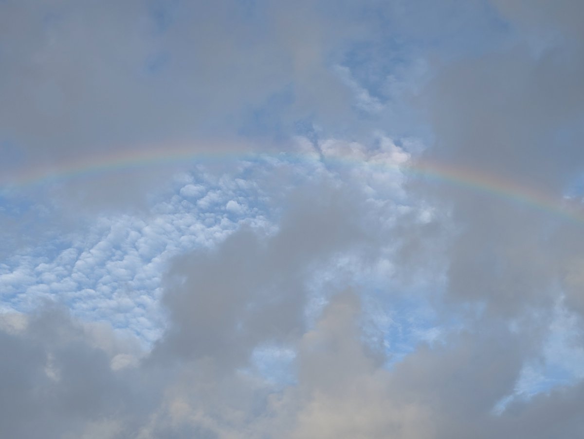 earthlyenhanced's tweet photo. @jjmmli 🌈 https://t.co/H9EBNGKXwR
