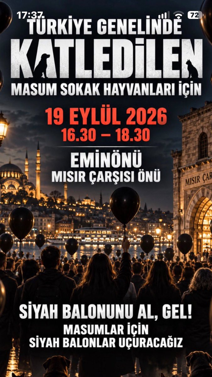 ZaferArapkirli's tweet photo. https://t.co/3nT6sAggs3