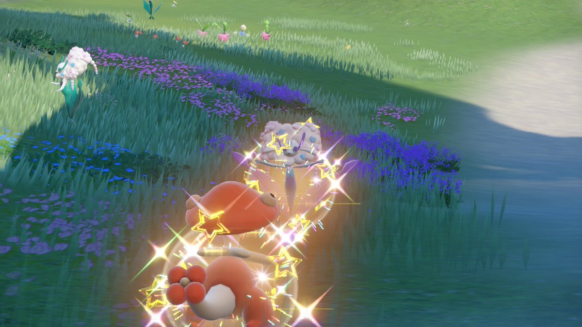 haruhiko513's tweet photo. #ポケモンSV
色違いフラージェスGET
証持ち全然居ないなあと思いながら厳選してたら13匹目で最大が来た
こんな見た目だし、特性フラワーベールだし…草タイプだな！うん間違いない… https://t.co/SxYPWKUWis