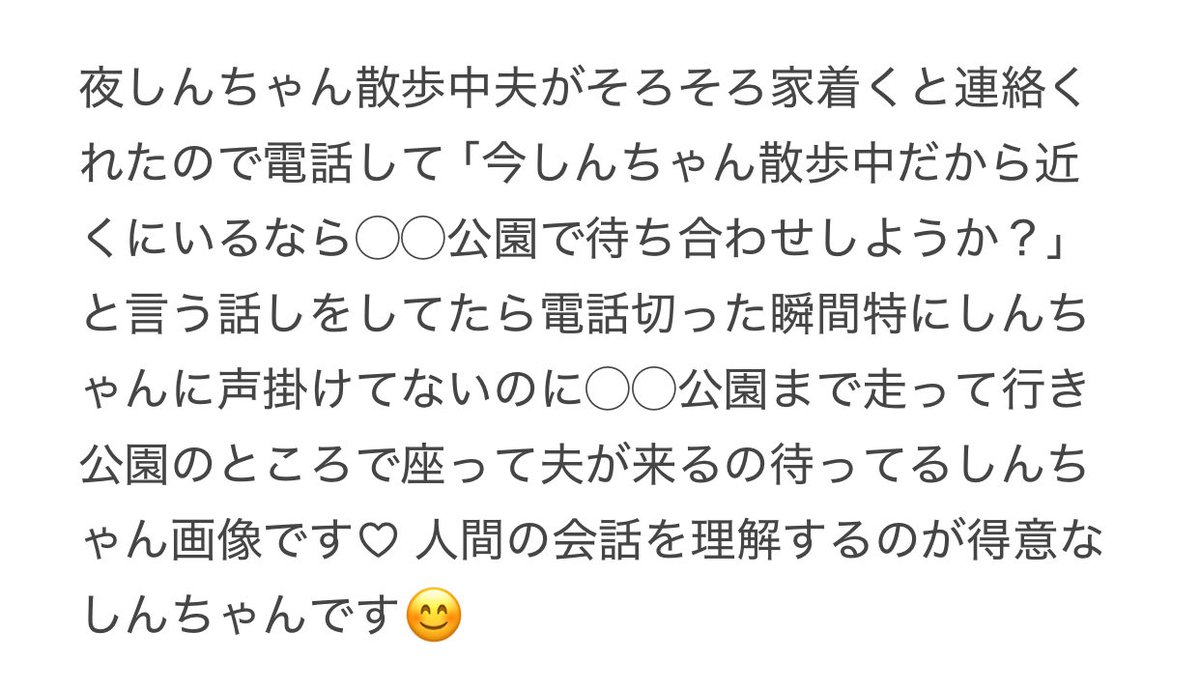 CorgiShinchan's tweet photo. ←お迎え　6日目　去年9/18特にお座り教えてないけどお座りしてご飯が出て来るのを待ってるしんちゃん
夫が帰って来るの待つ今日のしんちゃん→
#コーギー
#Corgi
#犬好きさんと繋がりたい https://t.co/2hmcD4fL2s