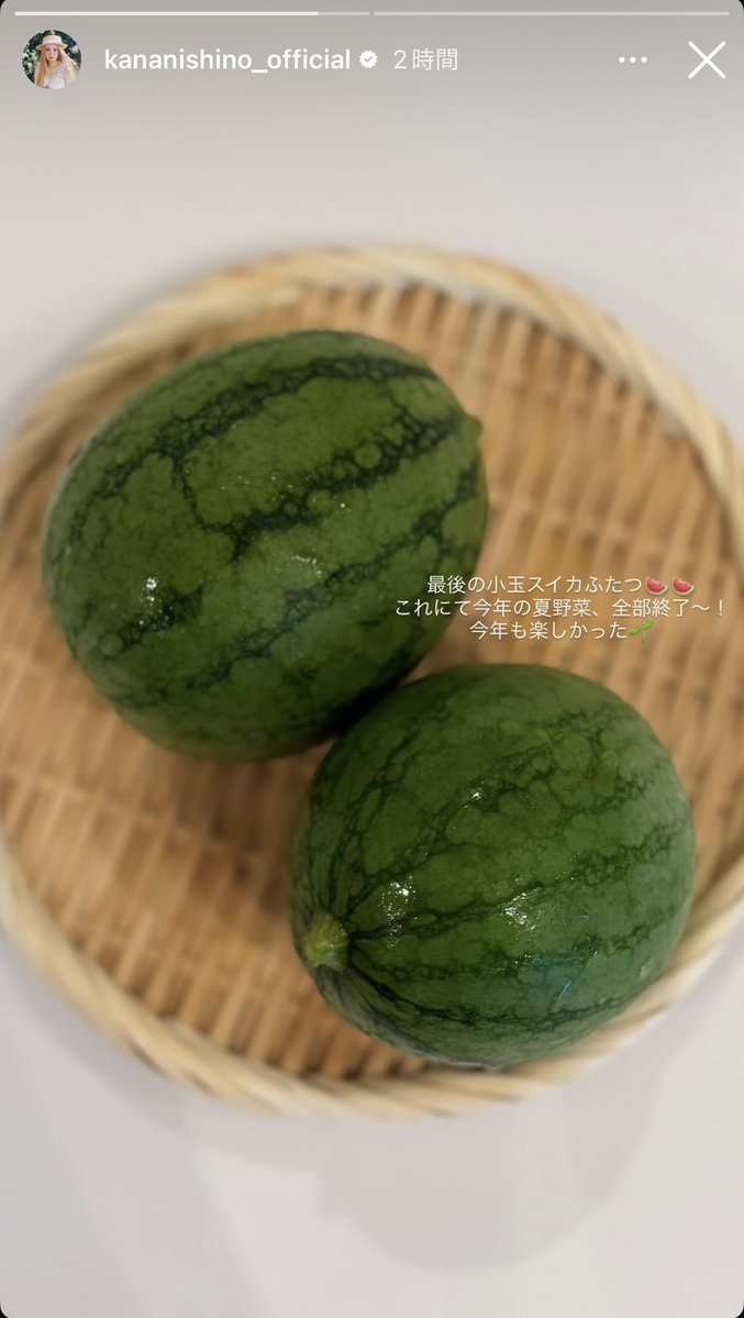 Okaka_0202's tweet photo. スイカ可愛い🍉💕
結構実ったんじゃない👀⁉️
こちらも楽しませていただきました😆 https://t.co/5q5tW8nibF