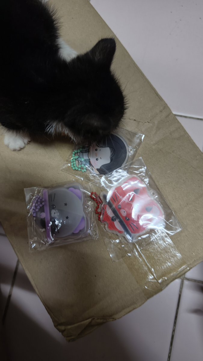 Oil_lalixx's tweet photo. 😽🪐&amp;🐈‍⬛
ดมถูกที่สะด้วย😘
ขอบคุณพวงกุญแจน่าร้ากๆจากคุณวันเสาร์เหมียวด้วยนะคะน่ารักสุดๆ💝
#jeffsatur #คุณวันเสาร์ https://t.co/rp8MYI44nJ