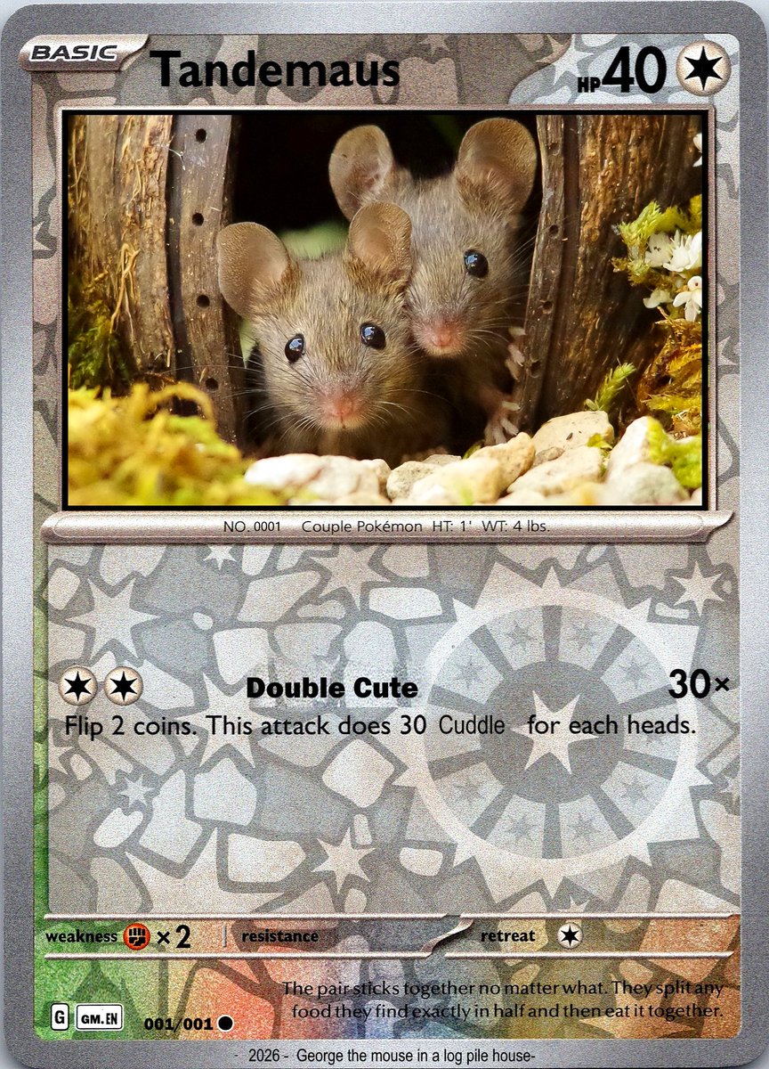 simon_dell_tog's tweet photo. would make a great pokemon card 
#pokemon #Pokemonartㅤ #rarepokemoncard #tandemaus https://t.co/MkLAvXGCWE