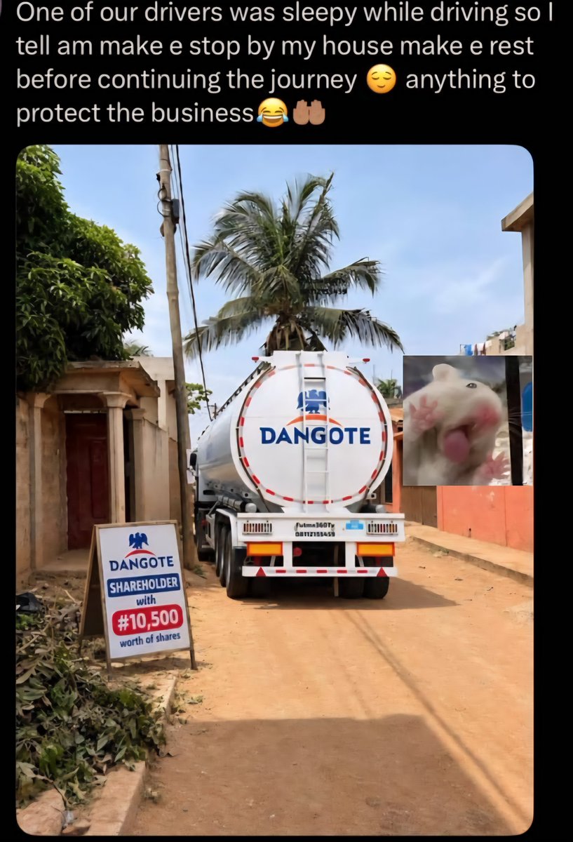 error_404exe's tweet photo. So Here is Something Out Of Character But Just Needed To Put This Out There. 

Been Seeing A Lot of the Dangote meme's.

Imagine everyone understood that NIGERIA also belongs to them the same way.

So we can easily look out for the other and make Nigeria Great Again ( If it ever was ; highly relative, subject to everyone's perspective and views).

But you get the point. Oh well. Ciao.🤸🏽‍♂️