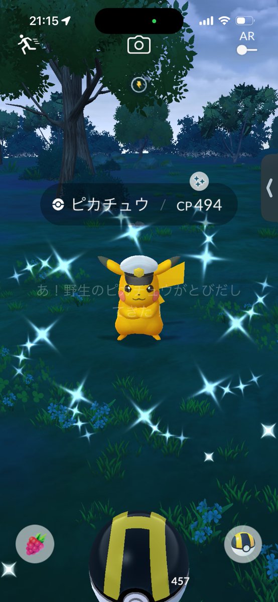 haradayo_'s tweet photo. スナップショットからピカチュウ色違いきた✨
#ポケモンGO https://t.co/G97sIk3wq8