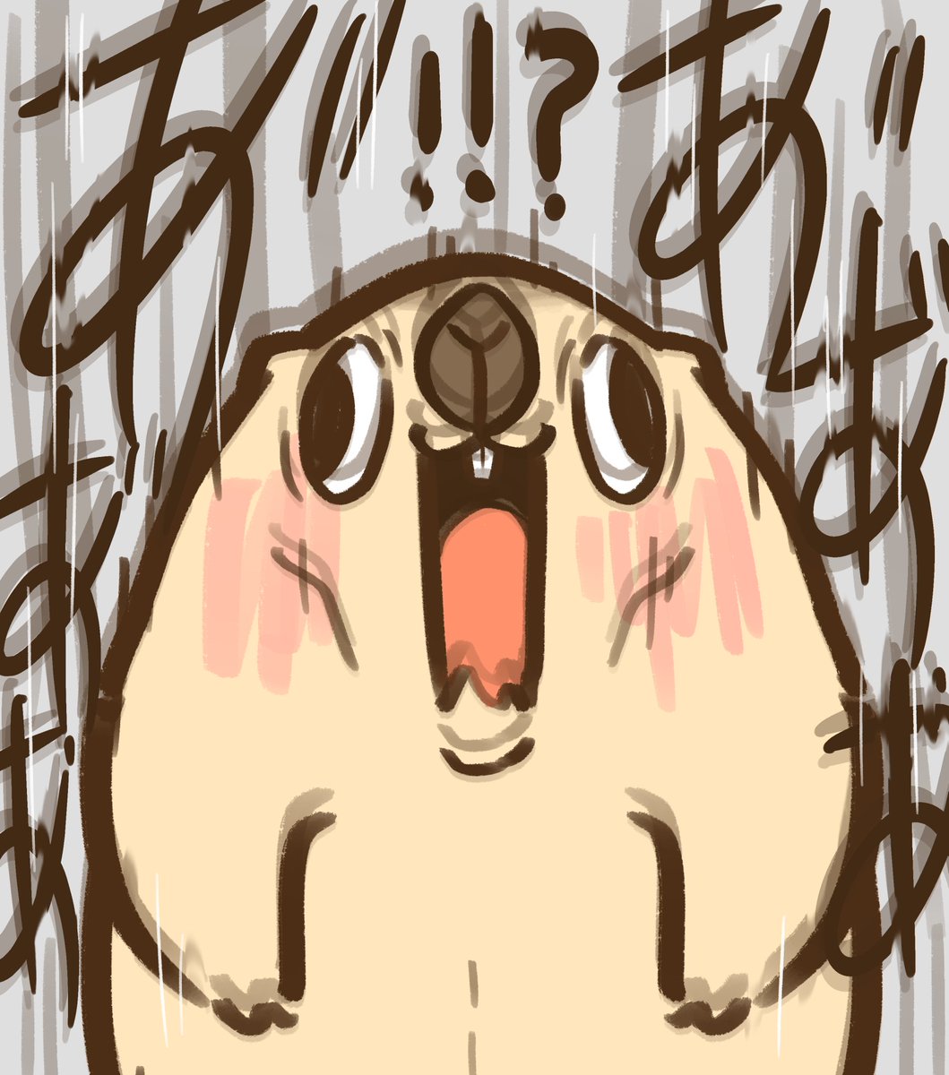 marmottooooo's tweet photo. ʕ  ◐(ꈊ)◑)⁉️…ふぁあ”ぁ”ぁ”ぁ”‼️100%あ”ぁ”ぁ”ぁ”‼️ https://t.co/qQ0ewQzG0Z