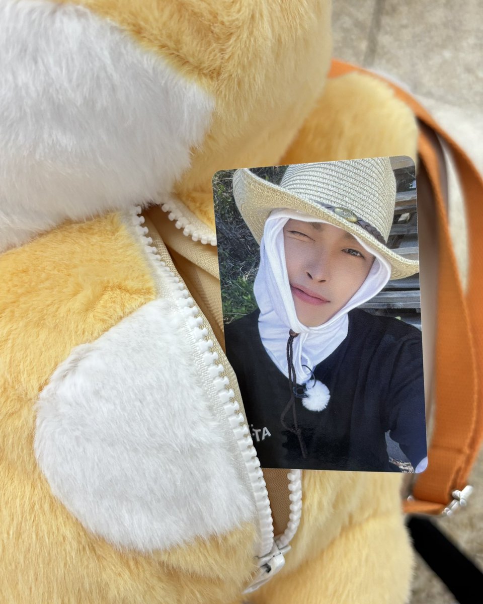 jijiisbroke's tweet photo. hongyo baby 🥹 https://t.co/oGmwM6SEAm