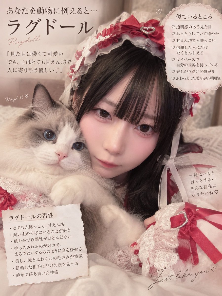 urmwx's tweet photo. 動物に関しては何回やってもねこやねんな https://t.co/mprjnDhcO9