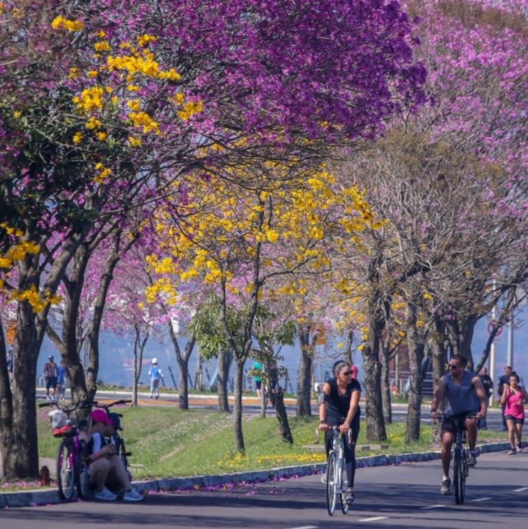 choquei's tweet photo. 🚨BRASIL: Faltam apenas 4 dias para o fim do inverno e a chegada da primavera. https://t.co/shnMqRu9JH