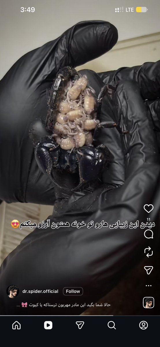 Atena3589's tweet photo. داره فحش میده؟
این همه زیباییو یجا ببینم که سکته میکنم 🥲😂💔 https://t.co/xWp3xCgQcu