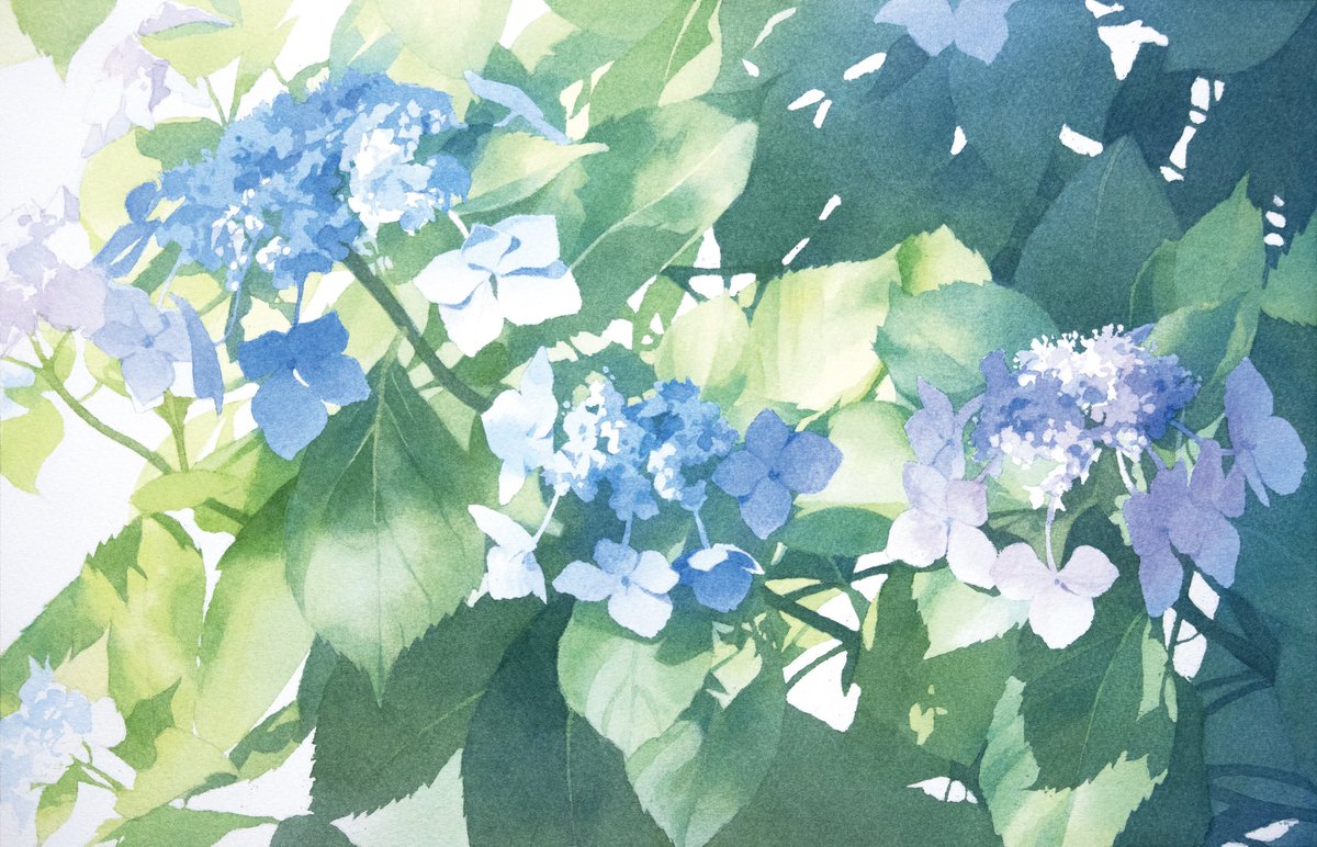 tr_watercolor's tweet photo. こちら明日から始まります！
どうぞよろしくお願いします。 https://t.co/Mc9bRcLCHq