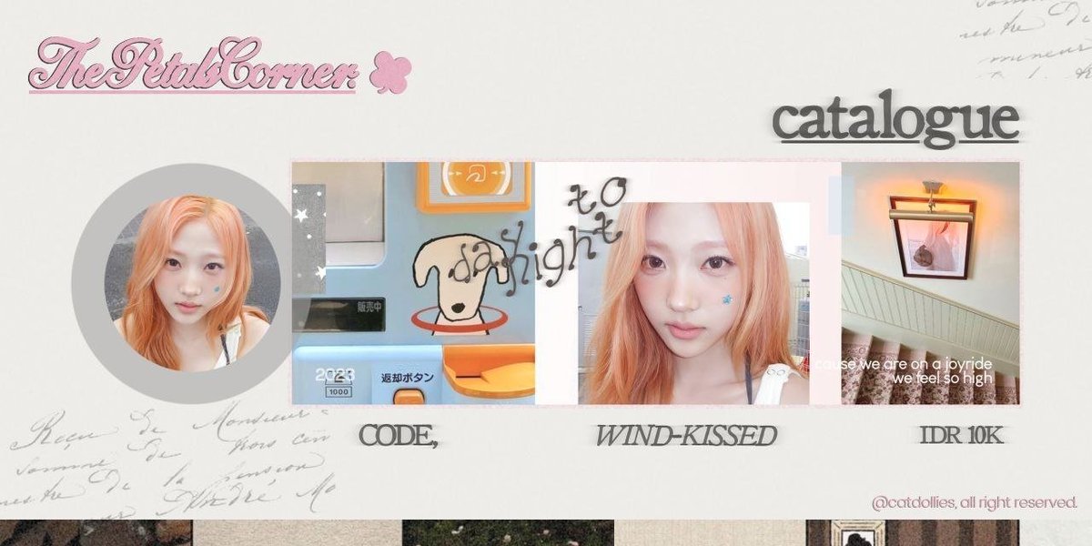 catdollies's tweet photo. @leewoneee stellaaaa! https://t.co/INwOJN5ne5