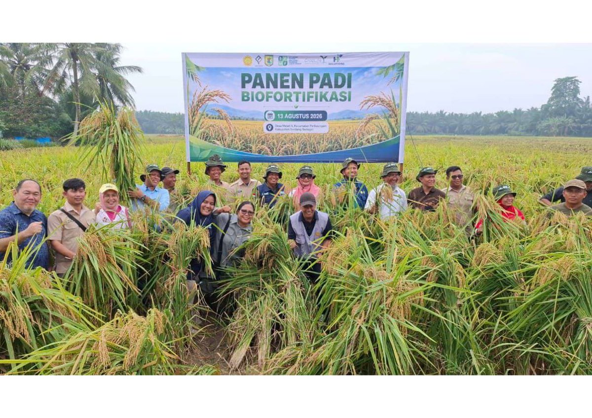 HarvestPlus's tweet photo. Complete the sentence:
“A healthy food system is one where everyone can ______.”
What's your answer? @HarvestPlusSoln 
#HarvestPlus #FoodSystems https://t.co/DaEpvw6UQN