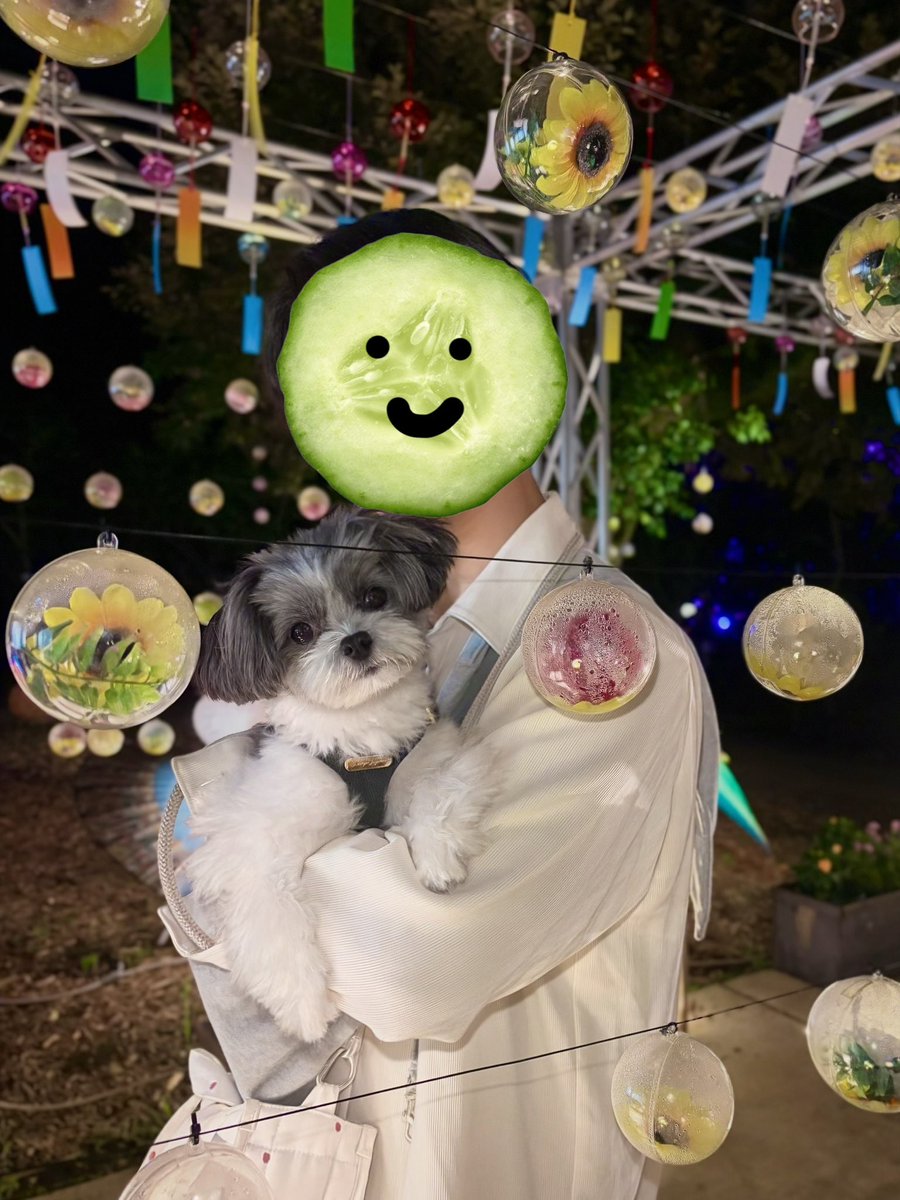 C6O10917's tweet photo. 江ノ島の灯篭を見におでかけ🐾

#犬のいる暮らし https://t.co/lrXUHNIjVv