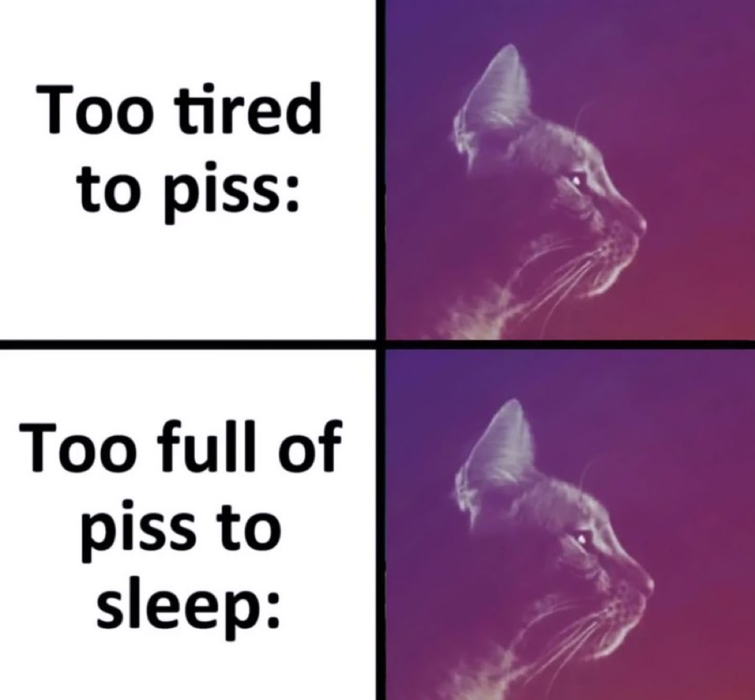 NoContextHumans's tweet photo. Me every night: https://t.co/wKI0lSWyNZ