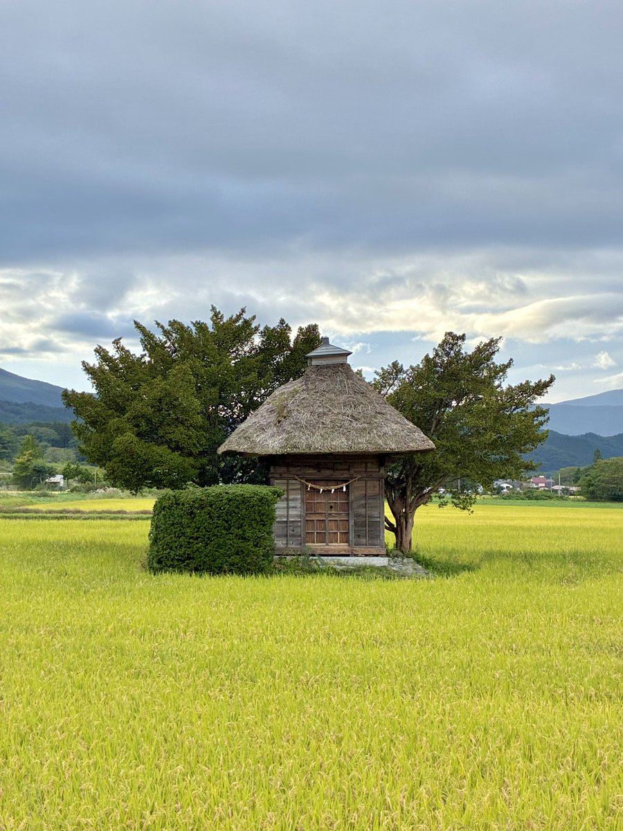 tonomuseum's tweet photo. 秋の風景

荒神神社 https://t.co/NF7J9Nbvbd