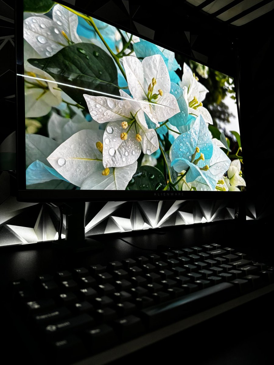 ansar1448's tweet photo. @WallhackHQ Va005 x @Chilkeykeeb 75 He. Black Setup 🖤 I need to try the cr005 or Sp5 rn https://t.co/NjiR9z80e4