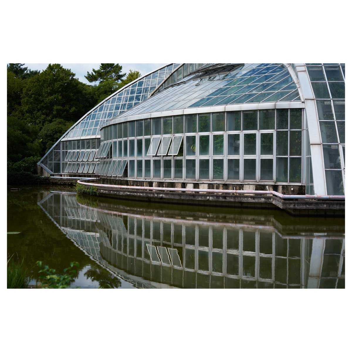 PhotophotoK's tweet photo. https://t.co/O0bpPHKt0t