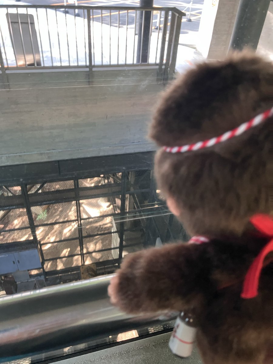Pan_Shimi's tweet photo. 旅の思い出 https://t.co/kGy5AVLcAl