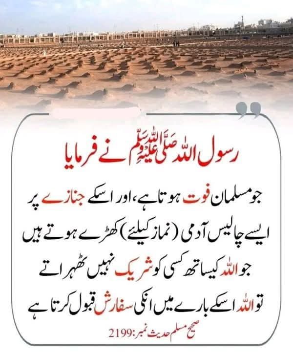 ChotiSheikhni's tweet photo. https://t.co/vyidAoy8Dg