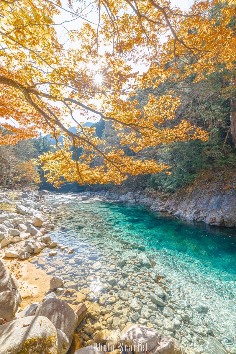 Photo_Scarlet's tweet photo. 今年も、長野県の秋景色がとても楽しみです https://t.co/9gk3T8ry3p