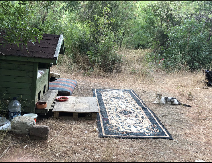 e_gulin's tweet photo. The Saray
Saray dediğin böyle küçük olmalı
Bir küçük kapısı, kapanmasın
Hırsız çalacak şey bulamasın
Bir tane de küçük odası, ki
Dünyanın daha çoğu sana kalsın🐈☺️ https://t.co/9IVtz3RPrO