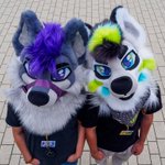 Photo by Damacy | Finnick (@Damaci)