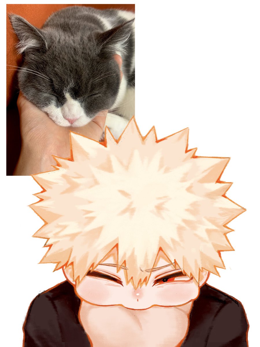 jinseibakuha's tweet photo. 🐈 https://t.co/3trDXNBjfi