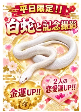 金里亜（Kanaria）｜英検1級挑戦中 on X: 