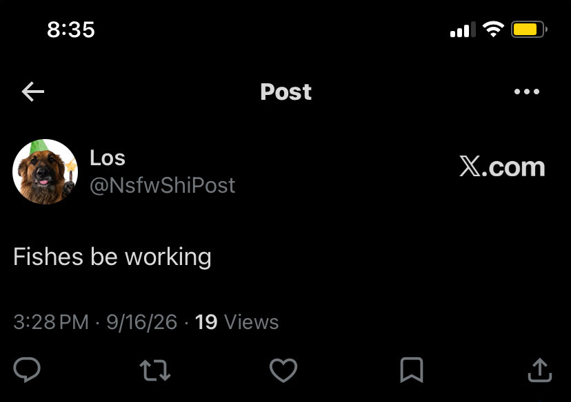 NsfwShiPost's tweet photo. @vicycle @muttst4lker Same same, but different https://t.co/RaIX5rz2Hn
