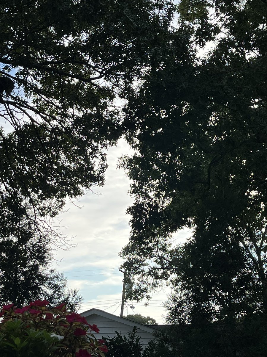 MarianneMBear's tweet photo. @PeteHegseth @realDonaldTrump @RobertKennedyJr 
#MakeAmericaHealthyAgain 
#MakeAmericasSkyBlueAgain 
You all know we’re  being sprayed like bugs! Who is really in charge? If the #POTUS can’t stop the daily assault on our country, then who will! We have had enough! https://t.co/13HtBhgyXz
