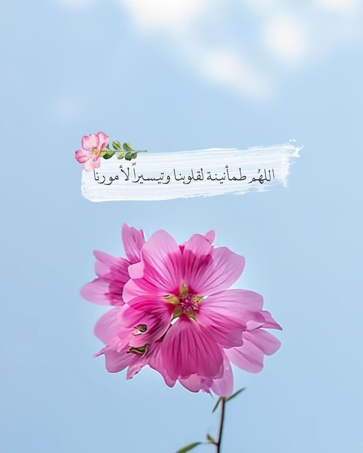 MohammedAl28831's tweet photo. اللَّهُمَّ زِدْنَا وَلَا تَنْقُصْنَا، وَأَكْرِمْنَا وَلَا تُهِنَّا، وَأَعْطِنَا 
وَلَا تَحْرِمْنَا، وَآثِرْنَا وَلَا تُؤْثِرْ عَلَيْنَا، وَأرْضِنَا وَارْضَ عَنَّا

يَاولي النِّعم لا تُهَذبنِي بِالمَنعْ

#اللهم_صل_وسلم_على_نبينا_محمد https://t.co/ymlzpqIuUR