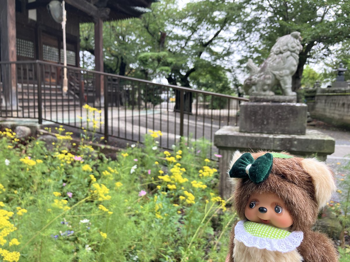 Pan_Shimi's tweet photo. 旅の思い出 https://t.co/tKZVx8ZWKX