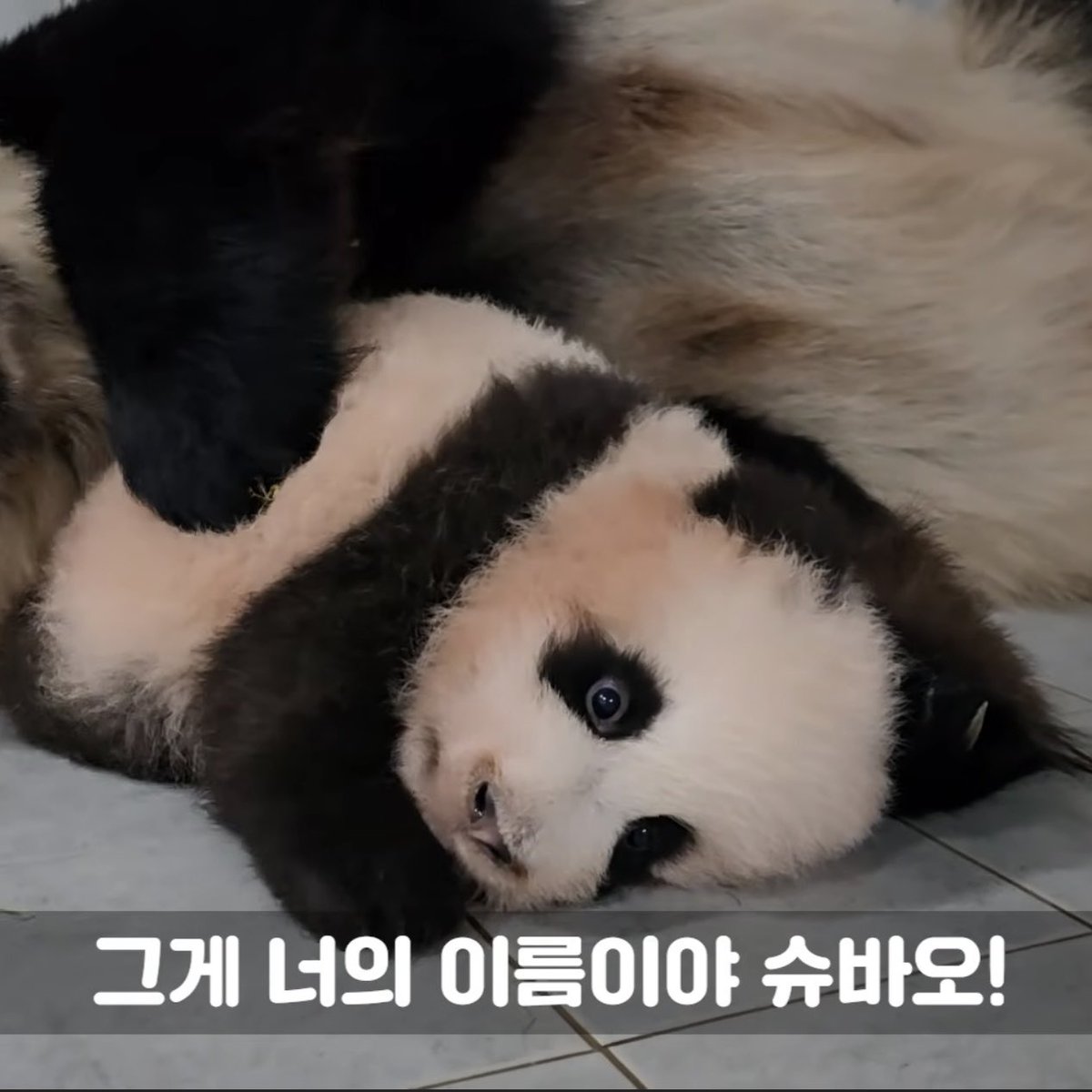 woafu7's tweet photo. 그렇구나! https://t.co/wOh8zZTW1e