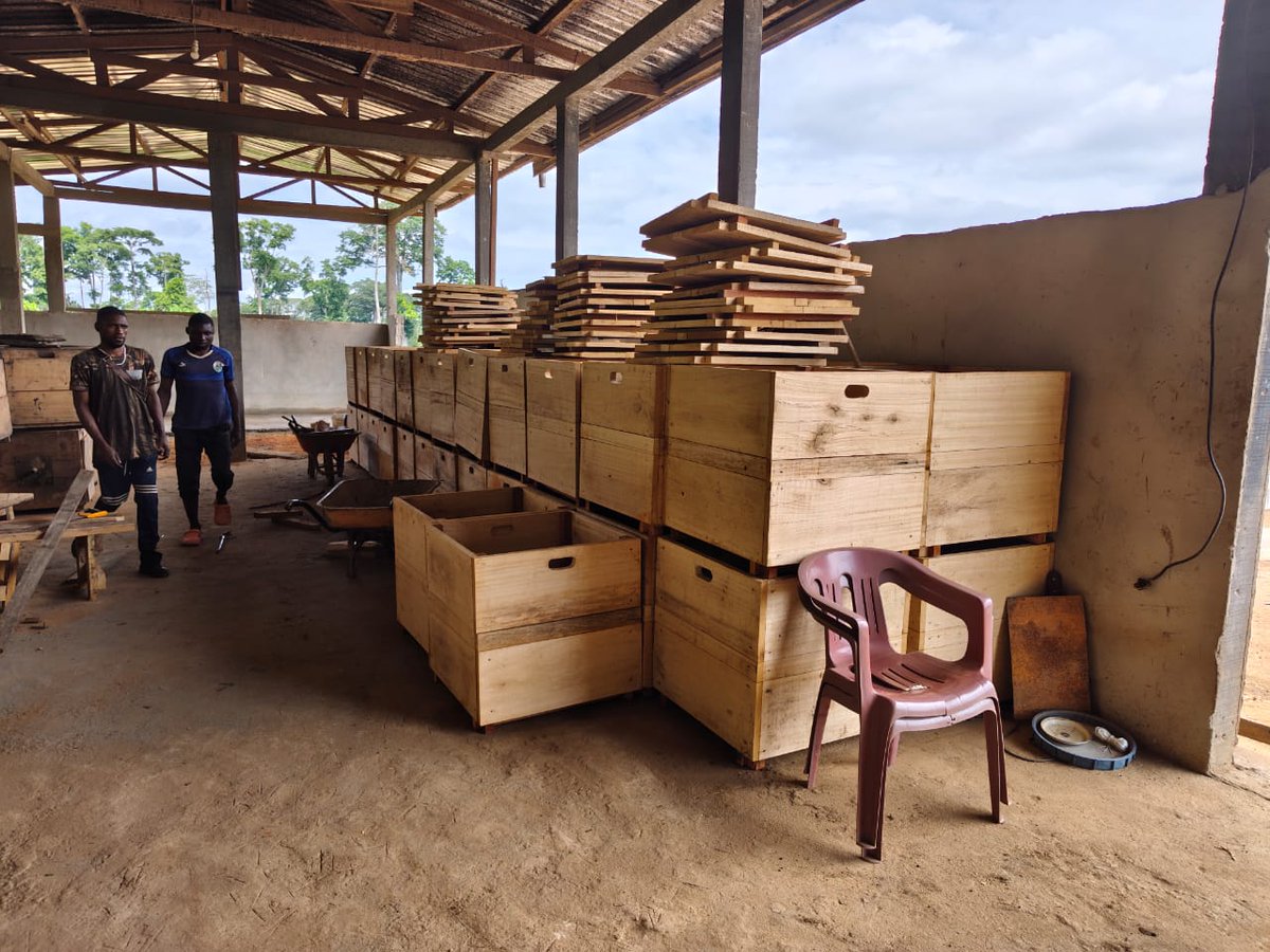 PICSCAMEROON's tweet photo. PICS Project Equips New Generation Cooperative of Ngoro with 50 fermentation boxes, as part of its support to the cocoa value chain. This support aims to:
✅ Increase processing capacity during the peak  season
✅ Improve fermentation quality
✅ Enhance farmers' competitiveness https://t.co/Sb1pGOZqB2