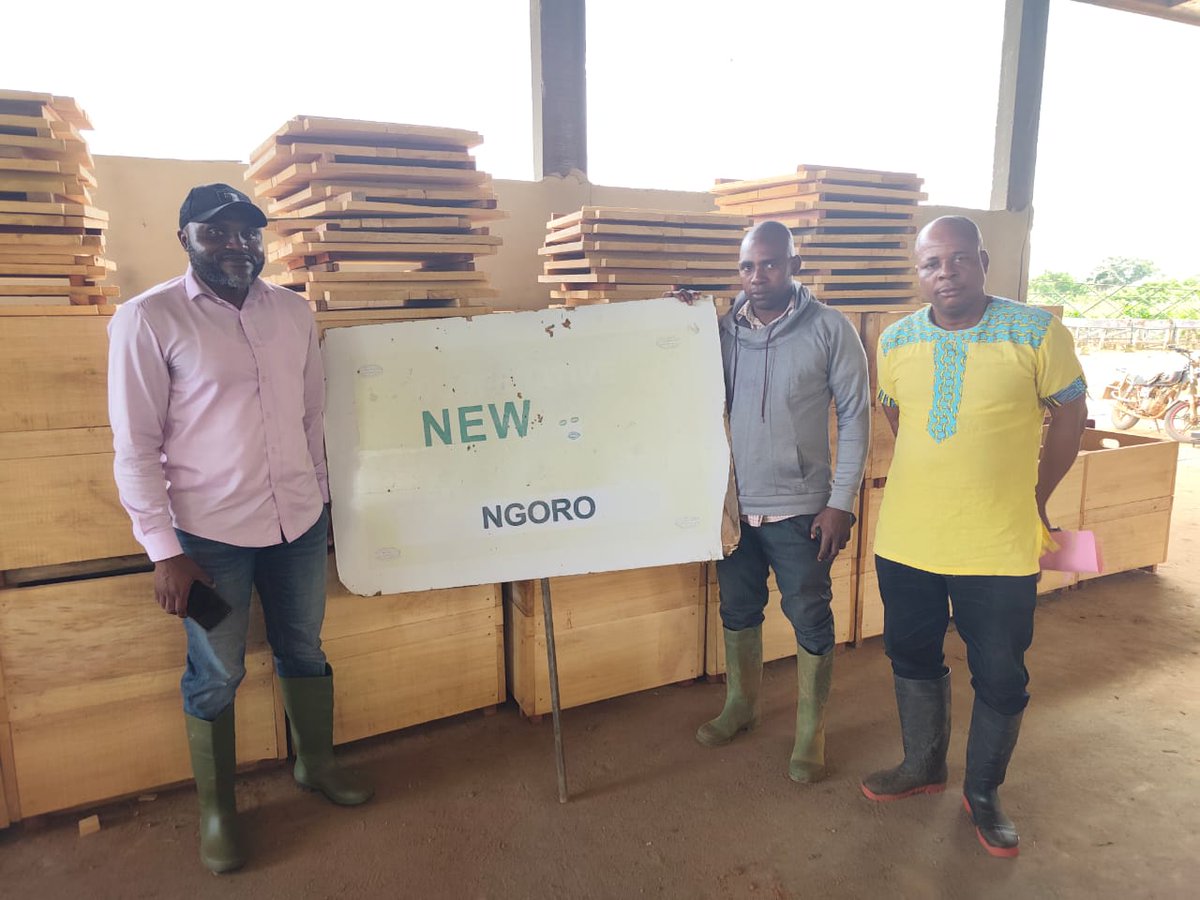 PICSCAMEROON's tweet photo. PICS Project Equips New Generation Cooperative of Ngoro with 50 fermentation boxes, as part of its support to the cocoa value chain. This support aims to:
✅ Increase processing capacity during the peak  season
✅ Improve fermentation quality
✅ Enhance farmers' competitiveness https://t.co/Sb1pGOZqB2